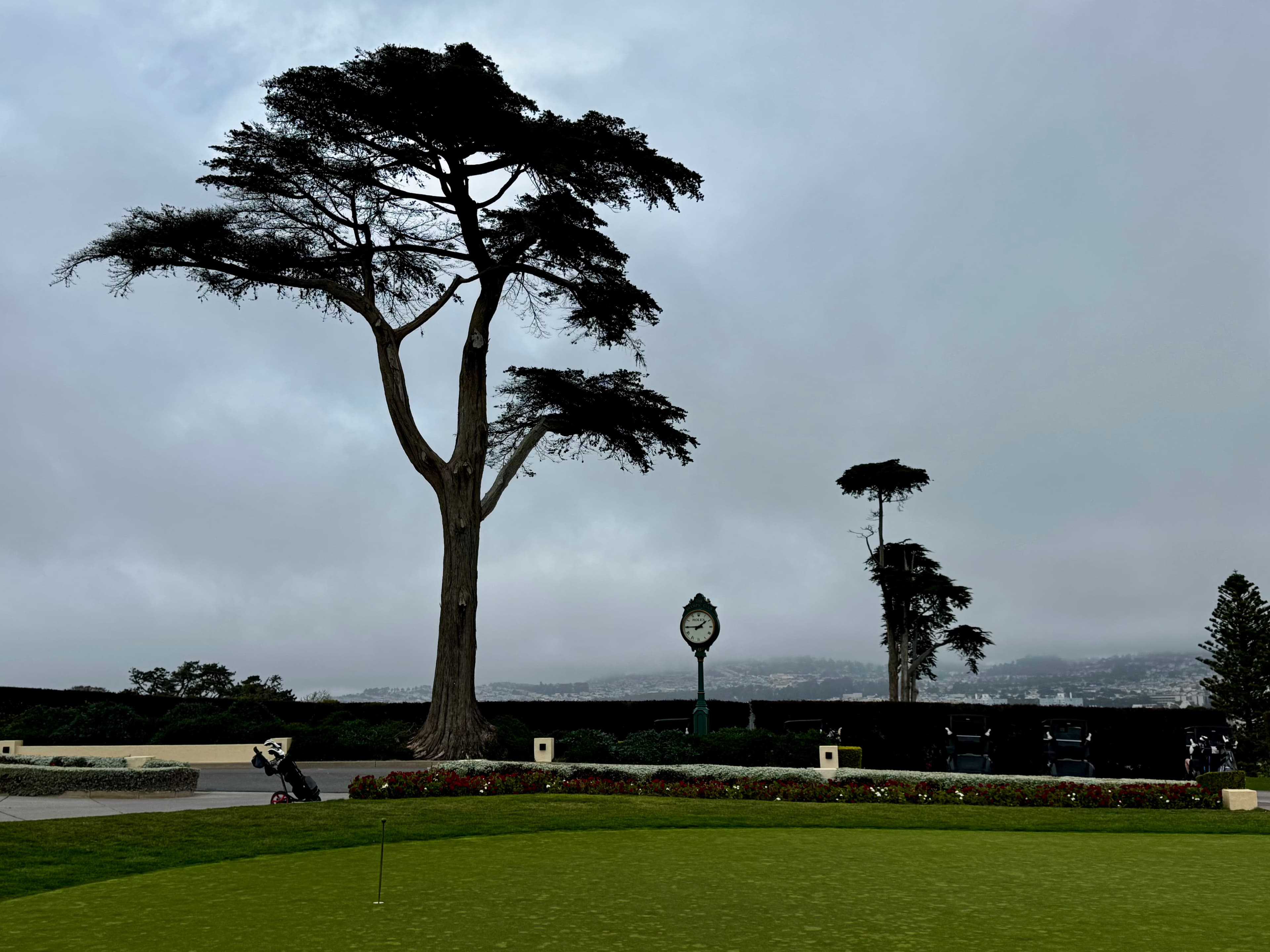 The cypress and the clock at The Olympic Club